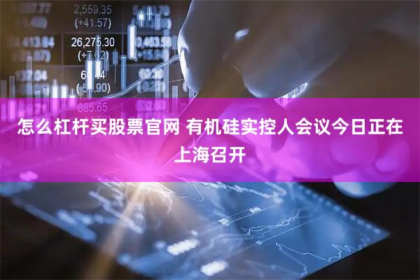 怎么杠杆买股票官网 有机硅实控人会议今日正在上海召开