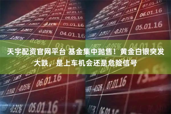 天宇配资官网平台 基金集中抛售！黄金白银突发大跌，是上车机会还是危险信号