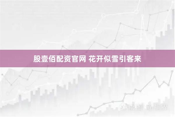 股壹佰配资官网 花开似雪引客来